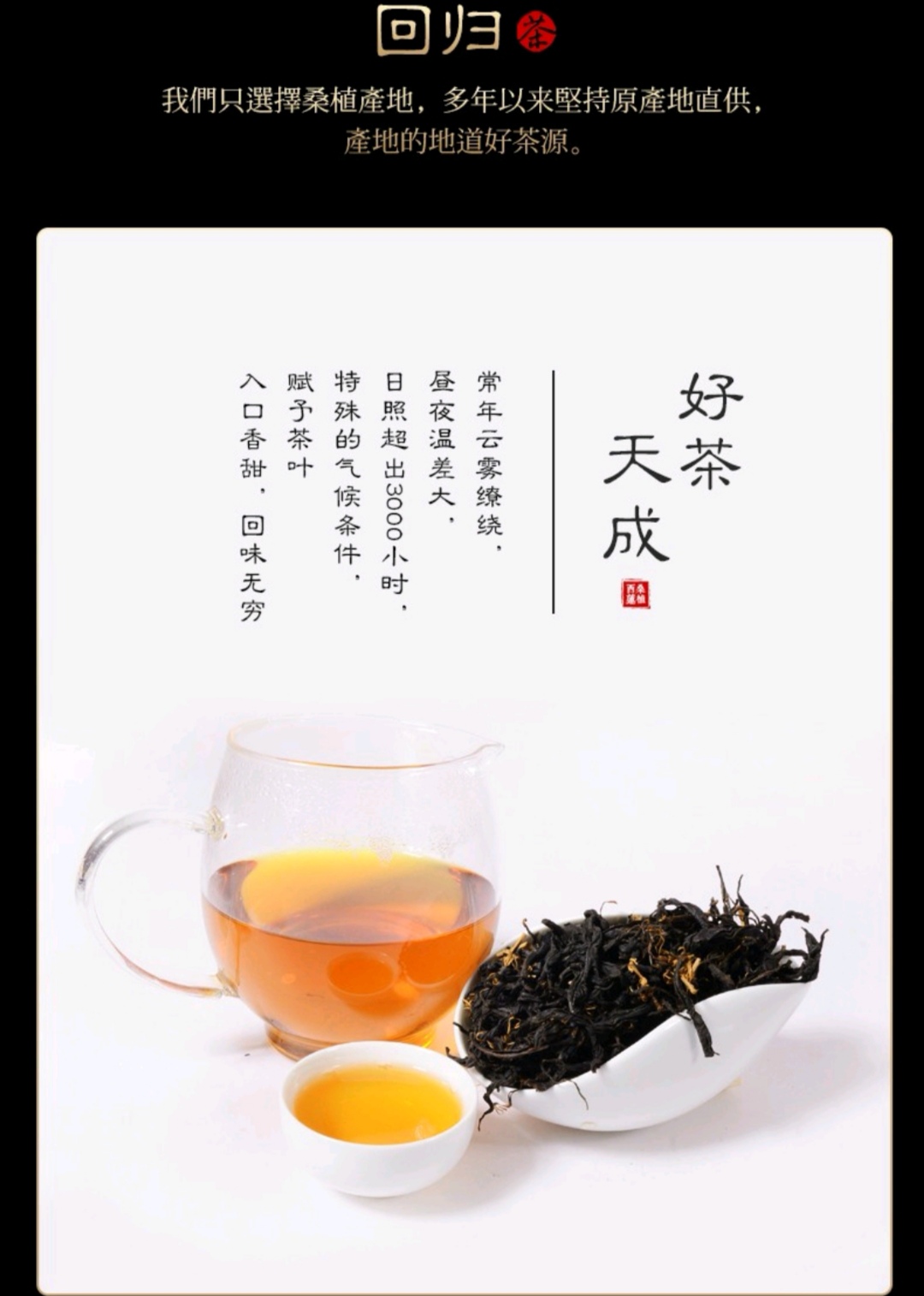 張家界林豐茶葉開(kāi)發(fā)有限公司,張家界茶葉開(kāi)發(fā),茶葉種植,桑植白茶加工,帥湘紅銷售