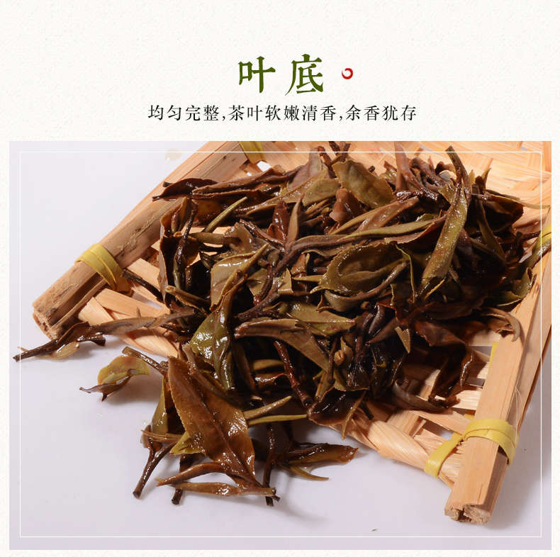 張家界林豐茶葉開發(fā)有限公司,張家界茶葉開發(fā),茶葉種植,桑植白茶加工,帥湘紅銷售